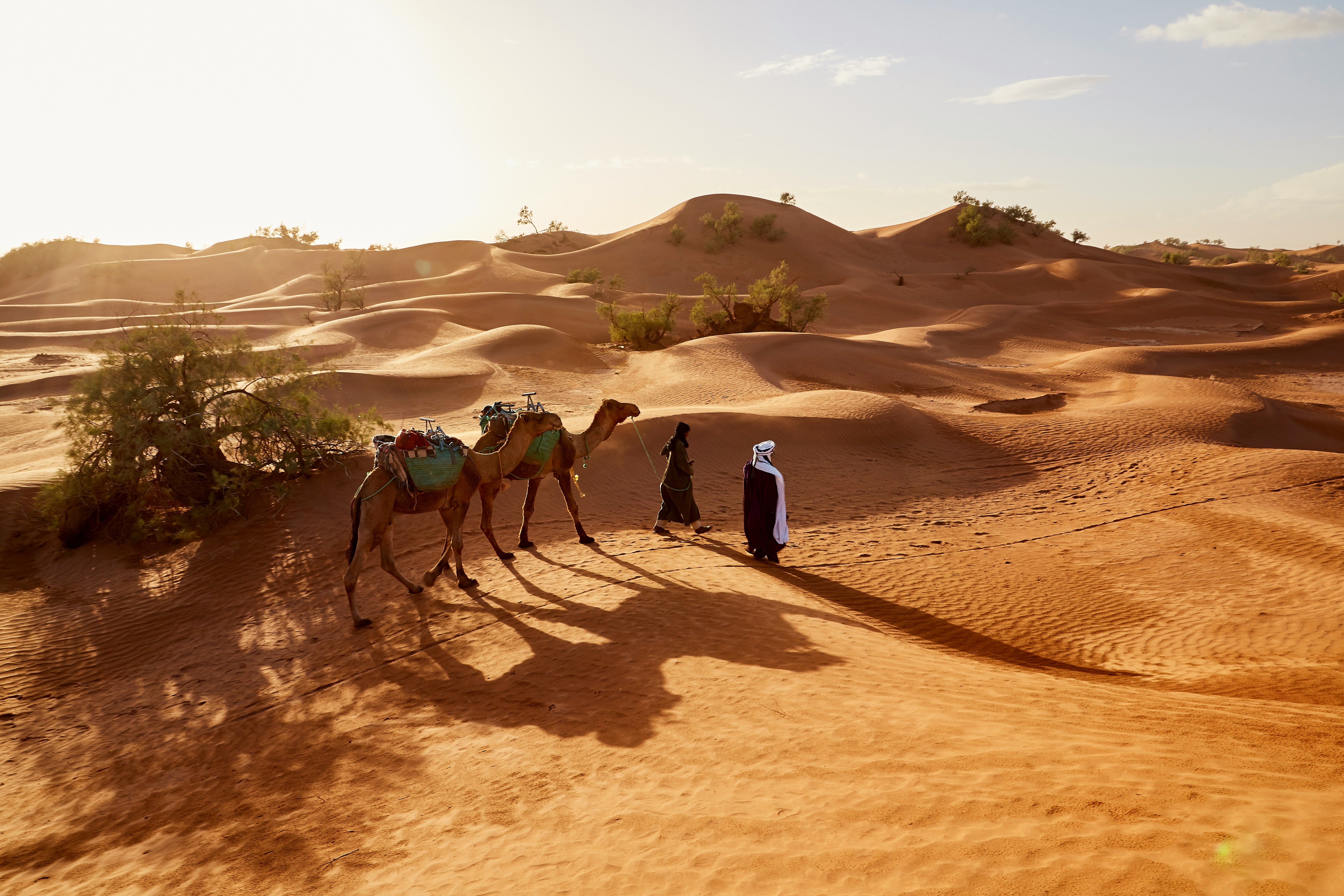 Marrakesh Experience