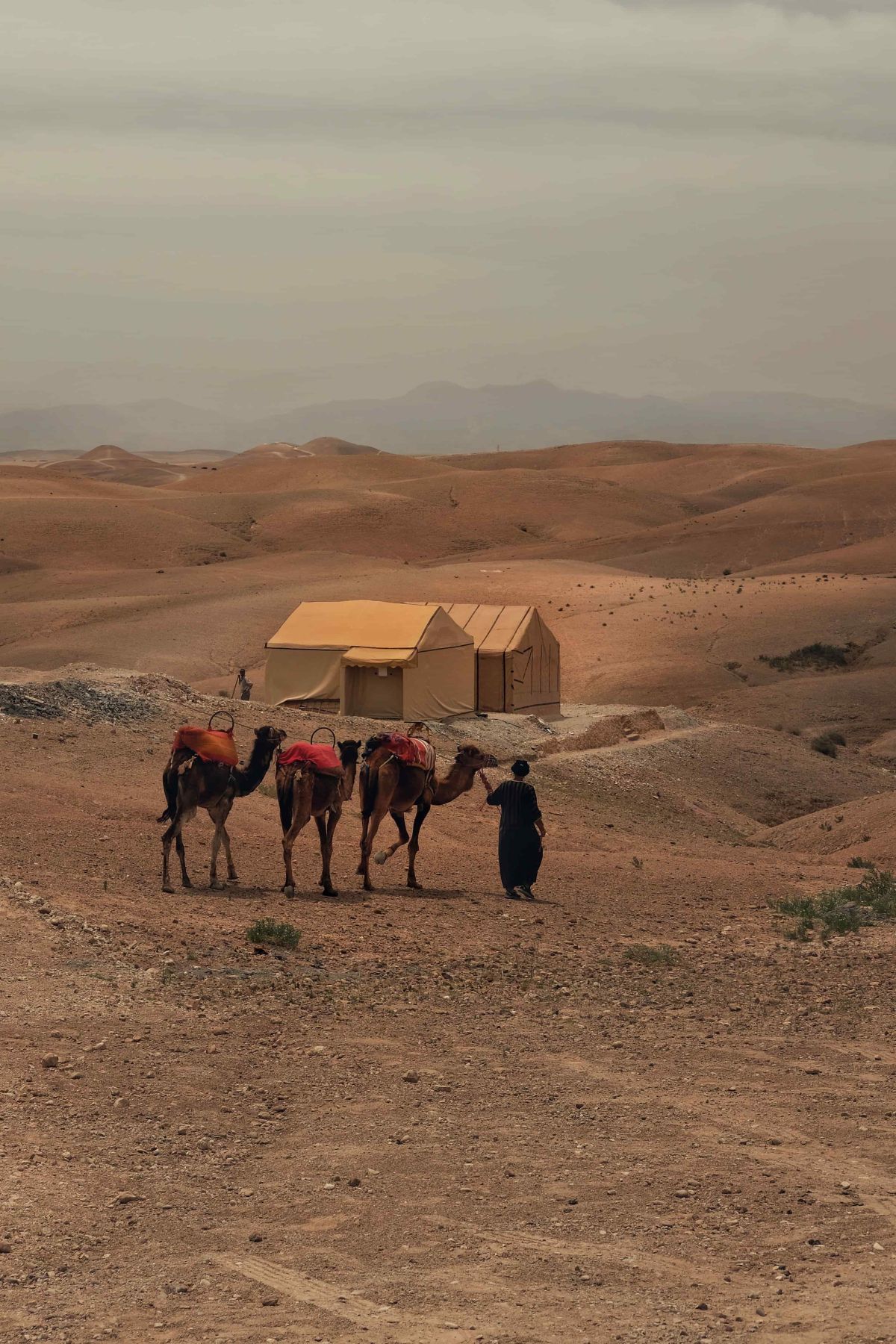 Camel Riding in Agafay Desert