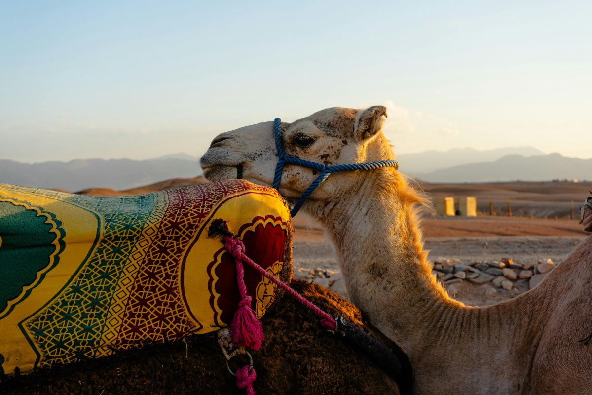 Agafay Desert – One Day Excursion